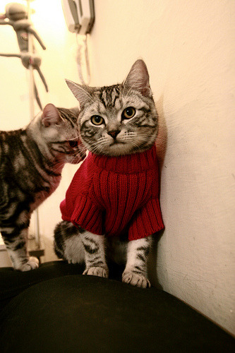 绝杀与传奇，中国队决胜日本队，波尔再书历史新篇