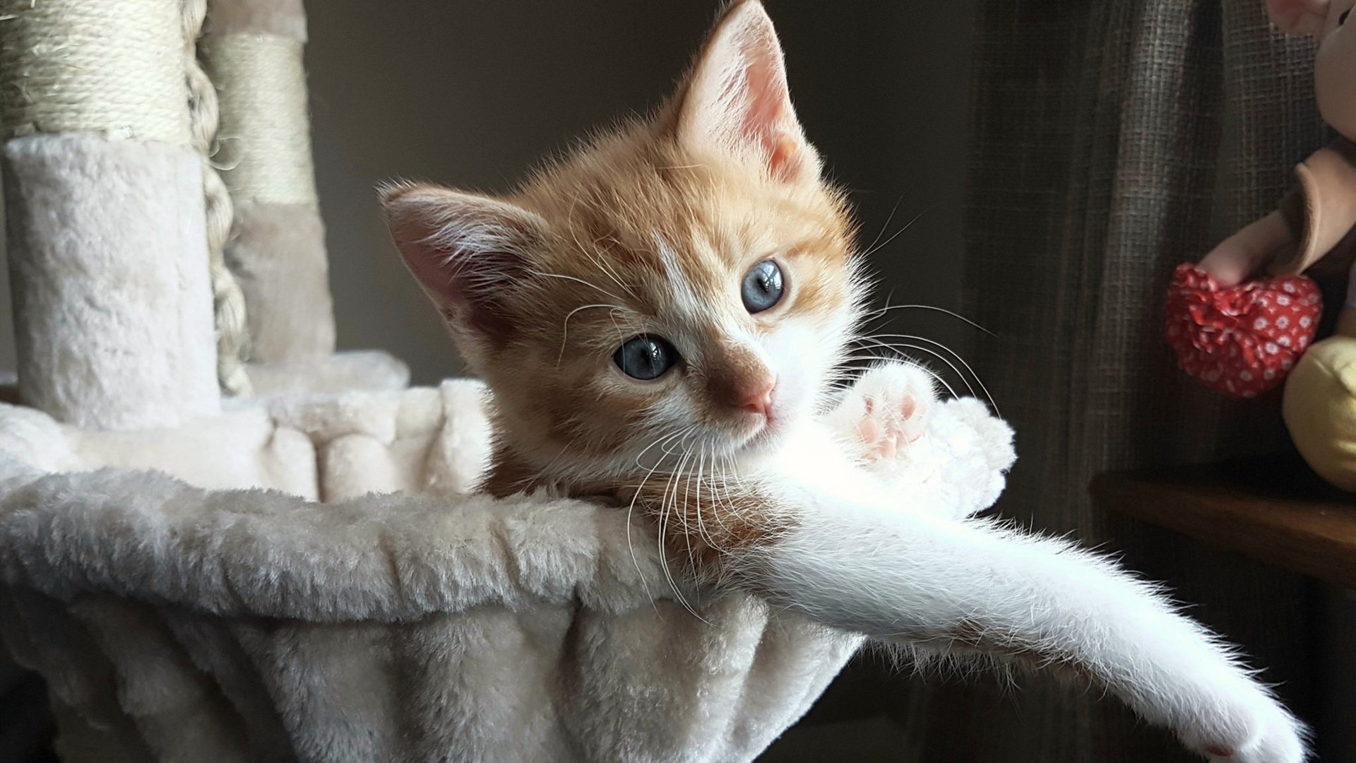 托辞与存在,尤文阵前,卢卡库那粒无法被统计学解释的点球