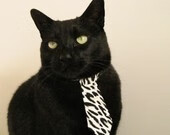 败局中的王冠，基米希用巴黎的草皮写下统治证明