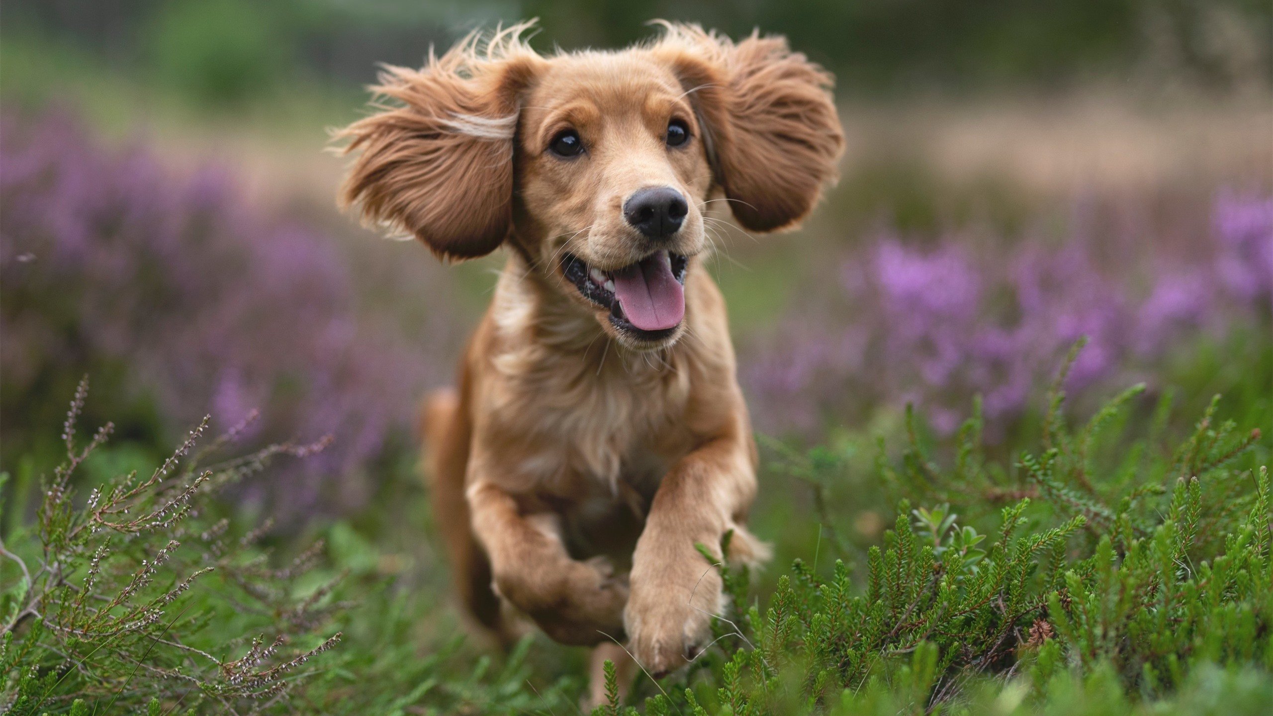 平行宇宙的篮球狂想，当莫兰特的热火遇上浙江队的寒冰