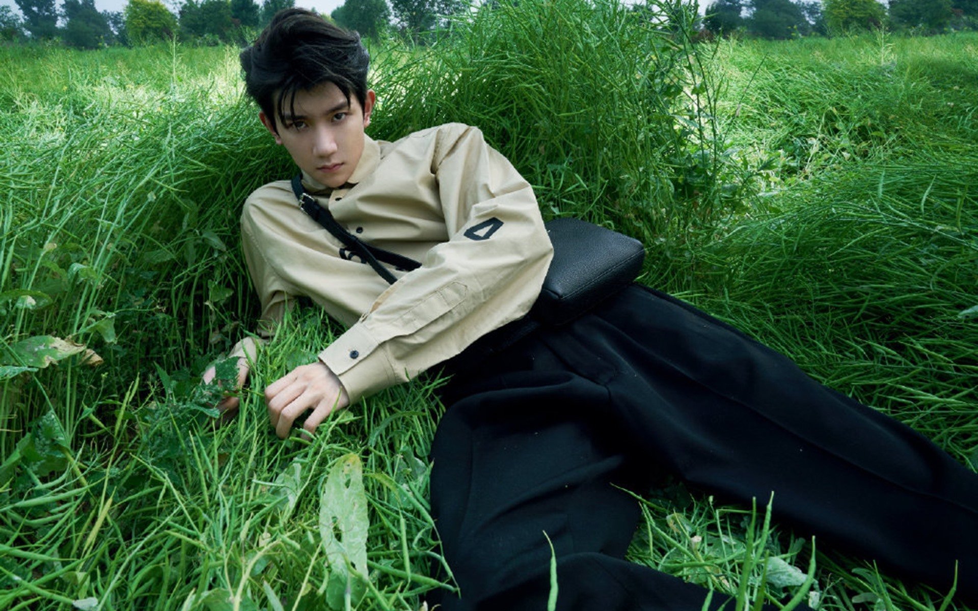 数据之外的统治，尼克斯的团队风暴与切特的非典型高塔启示