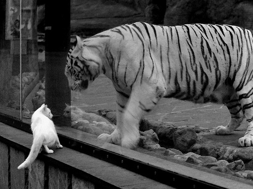 国家德比战术新纪元,从西班牙战火到摩纳哥的压制哲学