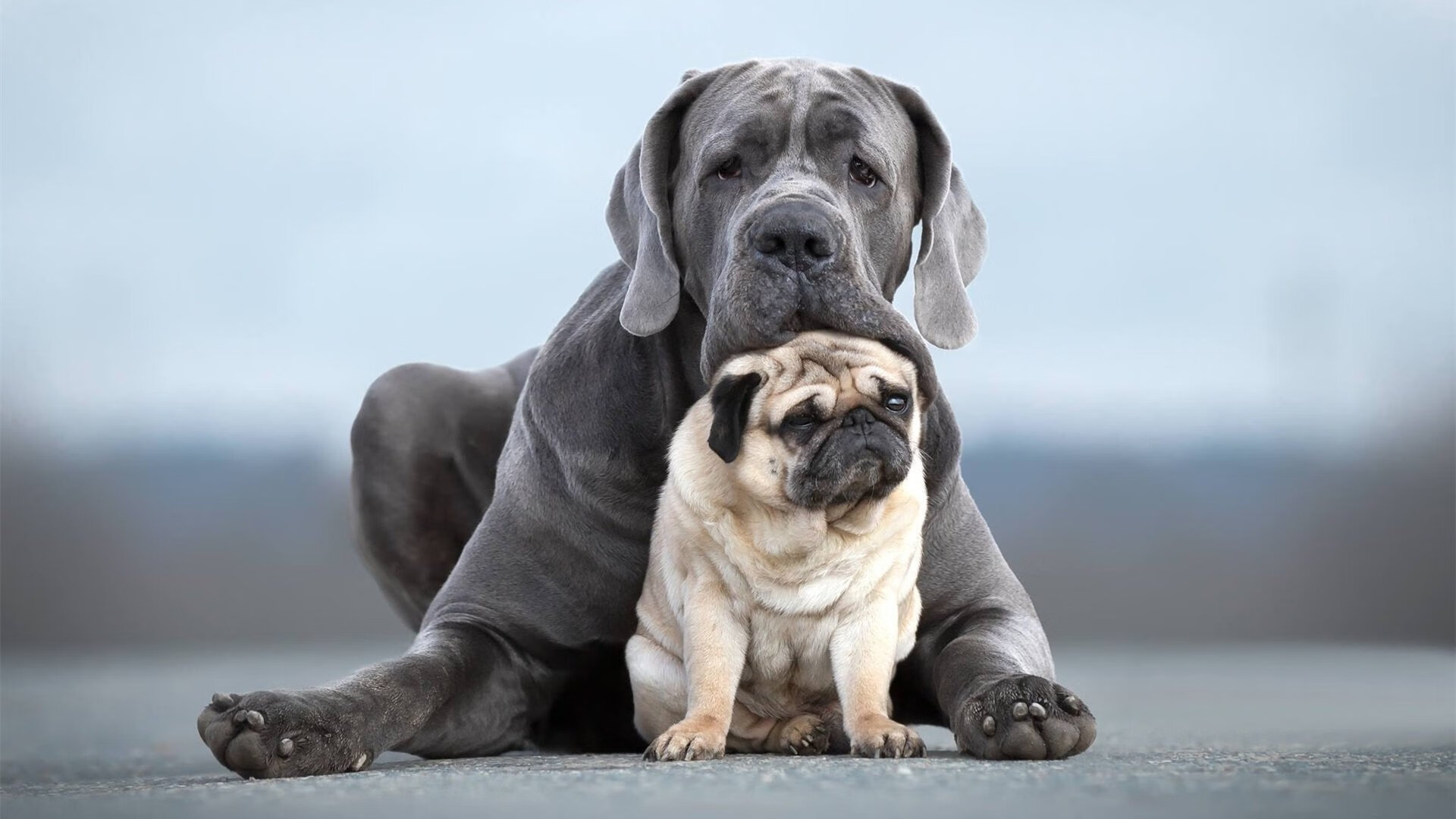 致命八分钟，奥运门票争夺战中，墨西哥如何用一波流扼杀智利希望