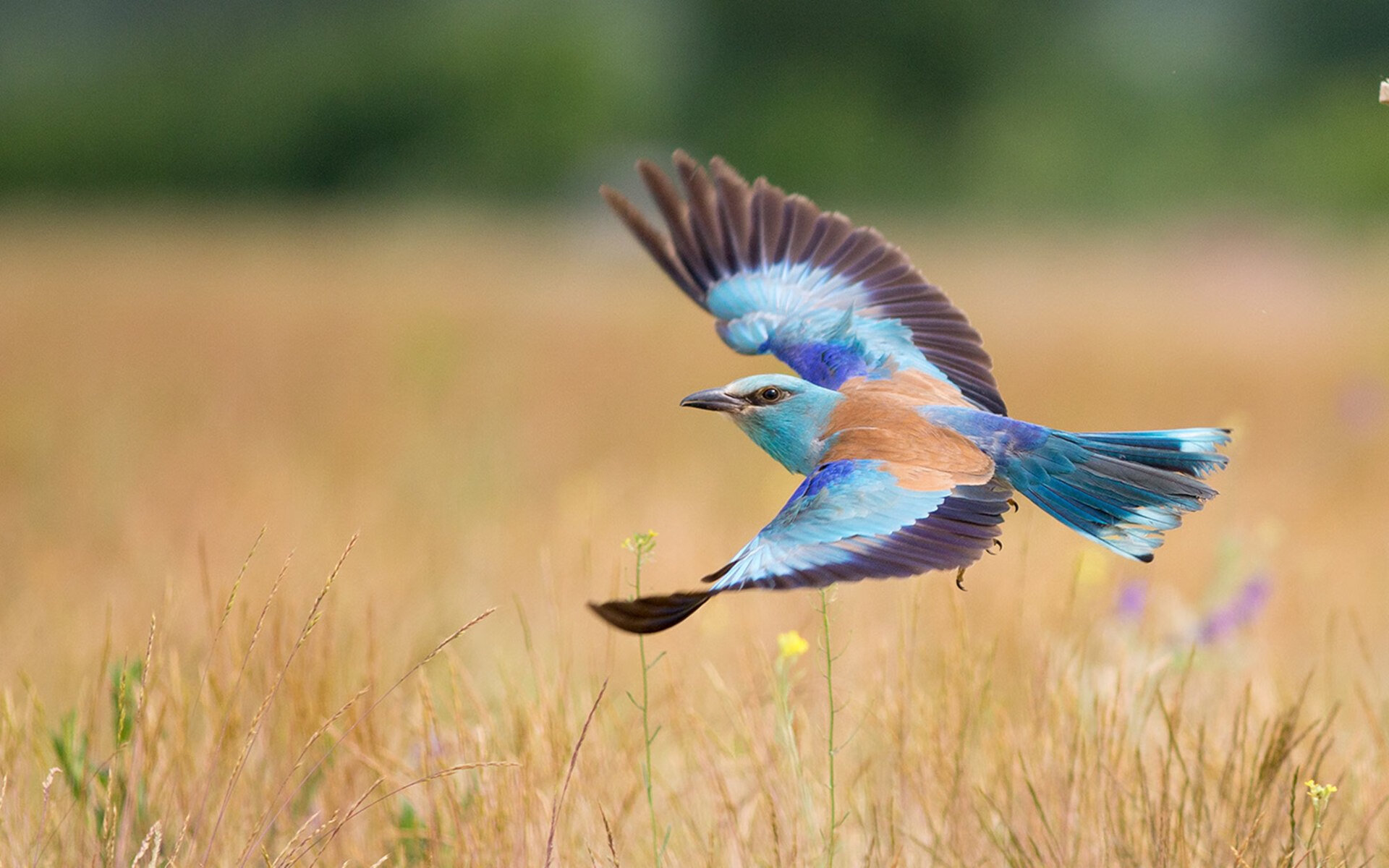 传说之夜,当詹姆斯身披76人战袍末节接管对阵猛龙之战