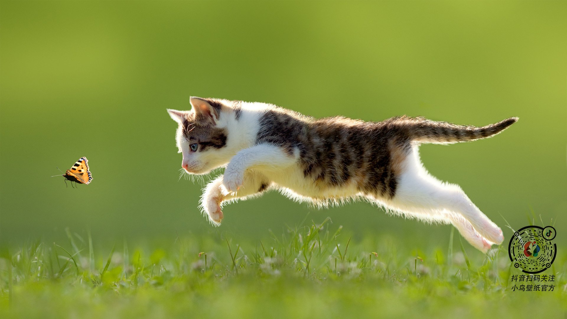 虚构的较量,真实的救赎,拜仁与阿尔及利亚的慈善之夜,凯恩在重压下爆发