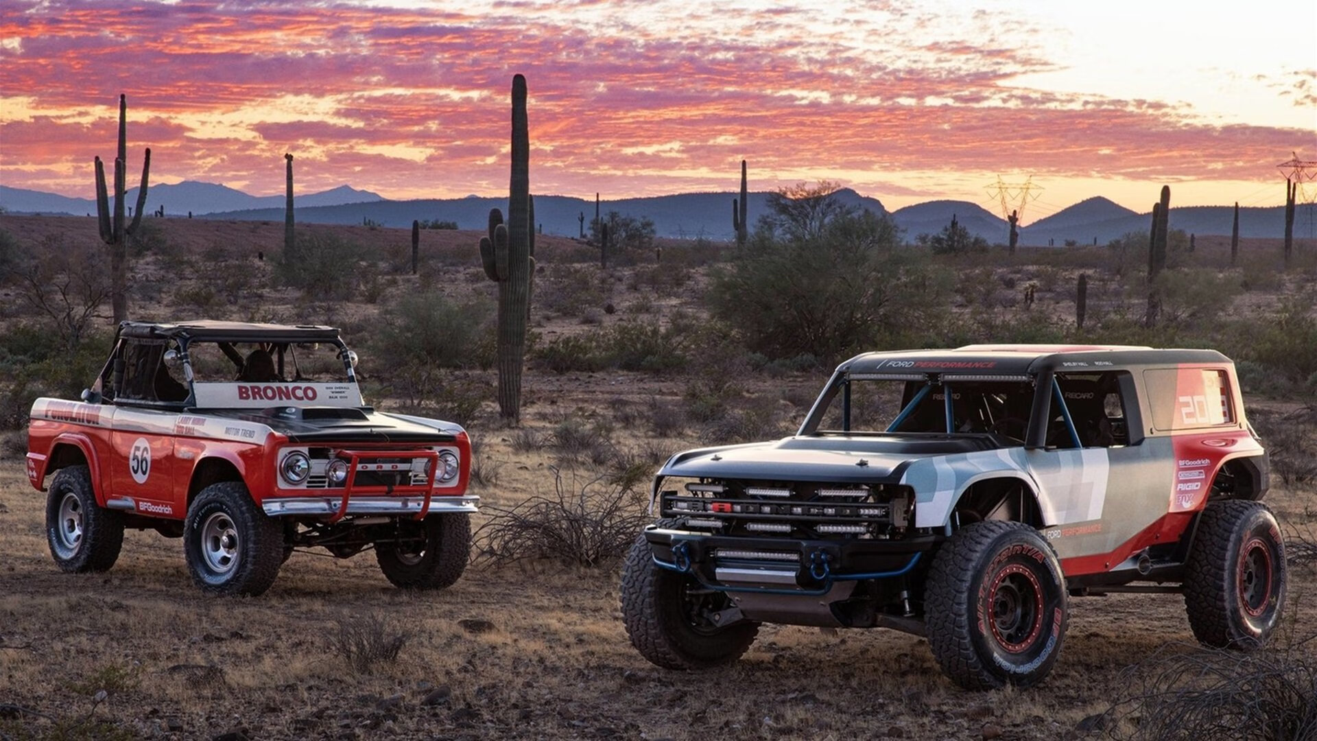 北美风暴席卷巴斯克,加拿大主帅强行终结皇家社会,帕尔默一剑封喉定江山