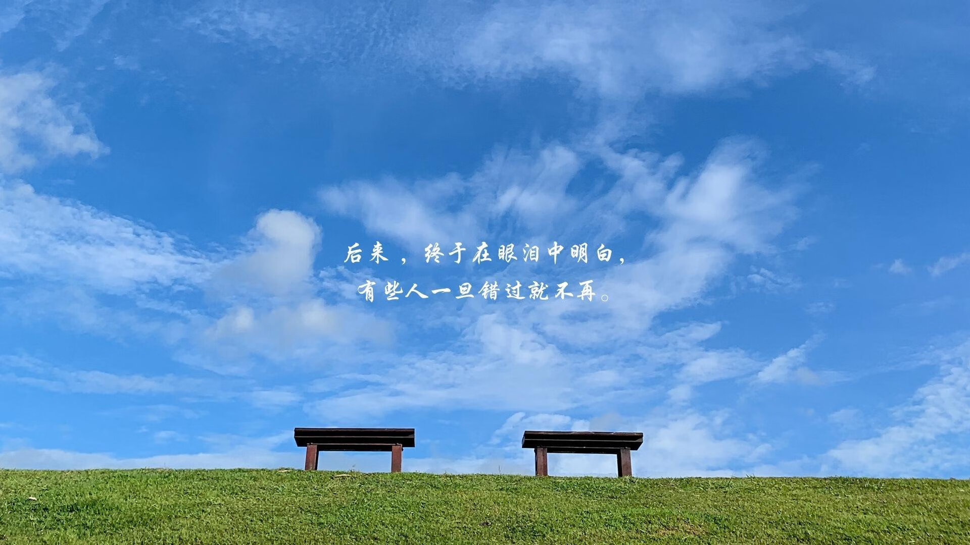 无声尼斯,当凯恩单骑扛起全队,厄瓜多尔战术强压一座城的呼吸