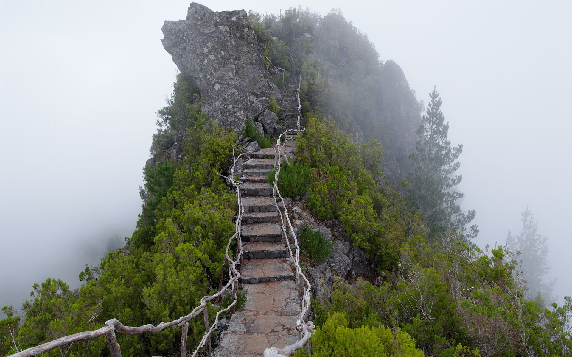 逆转乾坤,2026世界杯,印度破晓,福登一剑封喉